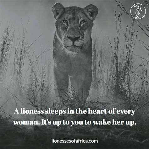 lioness quotes|25 Lioness Quotes to Empower Women。